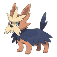 Terribark-Artwork