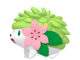 Shaymin