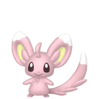 Picochilla Pokemon Wiki Fandom
