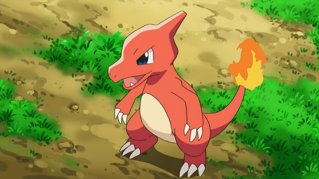 Kit Evoluções Pokémon - Charmander, Charmeleon e Charizard