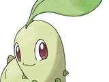 Chikorita