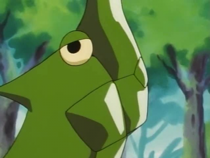 Fantasia - POKEMON METAPOOD Metapod é um pequeno pokemon inseto, fraco,  frágil e insolente, que não serve para nada, apenas para chatear a vida do  Ash, e para ter mais do que