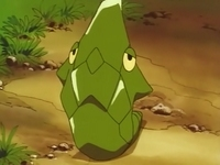 Fantasia - POKEMON METAPOOD Metapod é um pequeno pokemon inseto, fraco,  frágil e insolente, que não serve para nada, apenas para chatear a vida do  Ash, e para ter mais do que
