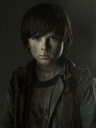 Chandler Riggs