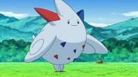 Dawn Togekiss