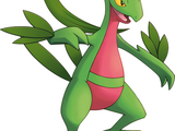 Grovyle (Explorers of Time, Darkness and Sky (games))