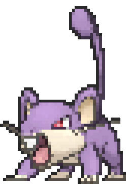 Rattata new arrivals