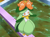 Lilligant de Selim