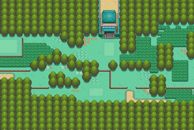 Pokémon HeartGold and SoulSilver/Route 31 — StrategyWiki