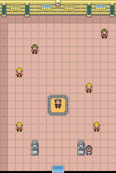 Fuchsia City, PokeMMO Wiki