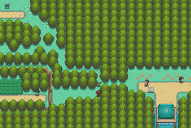 Pokémon HeartGold and SoulSilver/Route 31 — StrategyWiki