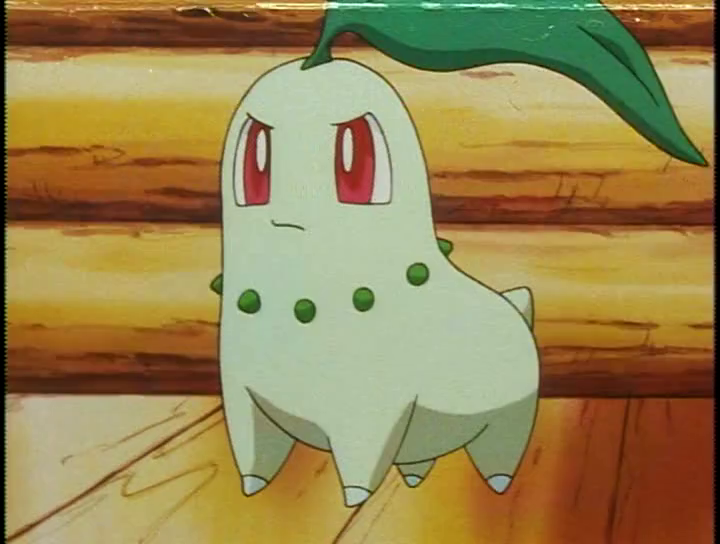 Chikorita, Pokémon Wiki