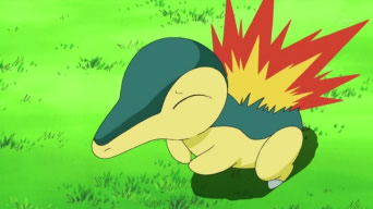 Cyndaquil, Wiki Pokédex