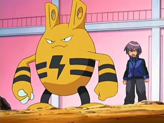 Curiosidades Pokémon: Elekid, Electabuzz e Electivire - Pokémothim