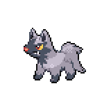 Poochyena, Victory Road Wiki