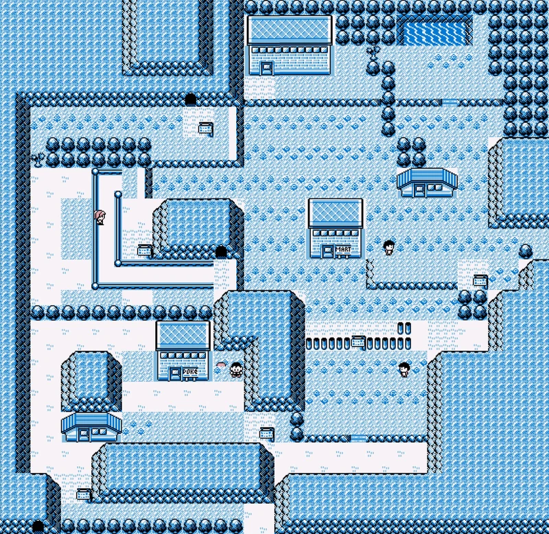 Pewter City Pokemon Blue Kaizo Wiki Fandom