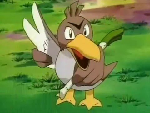 Pokemon with their pokeball, Farfetch'd