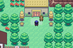 Dex :: Safari Zone Entrance in Emerald 