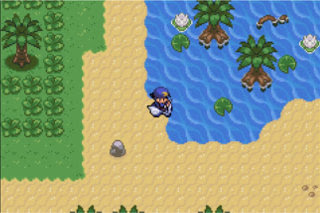 Dex :: Safari Zone Entrance in Emerald 