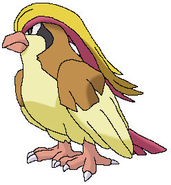 Pidgeot  Pokédex