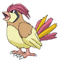 017Pidgeotto