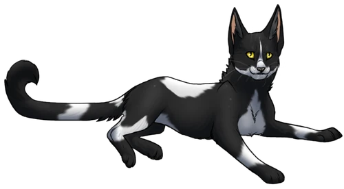 Pokemon Fan Creation Wiki