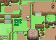 Pokemon Ethereal Gates Screenshot 03