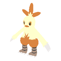 pokemon shiny combusken