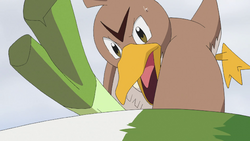 Goh's Farfetch'd - Bulbapedia, the community-driven Pokémon encyclopedia