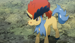 Ash's Toxel, Pokemon Journeys: My Fanon Wiki