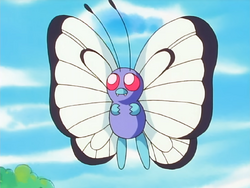 Ash's Toxel, Pokemon Journeys: My Fanon Wiki