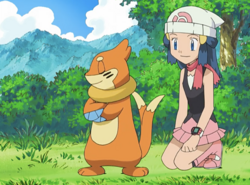 File:Dawn and Buizel.png - Bulbapedia, the community-driven