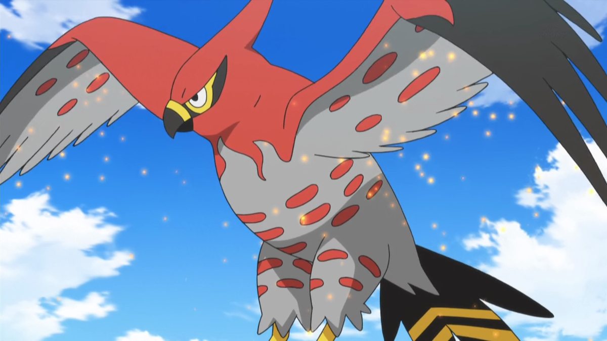 talonflame (pokemon) drawn by haychel