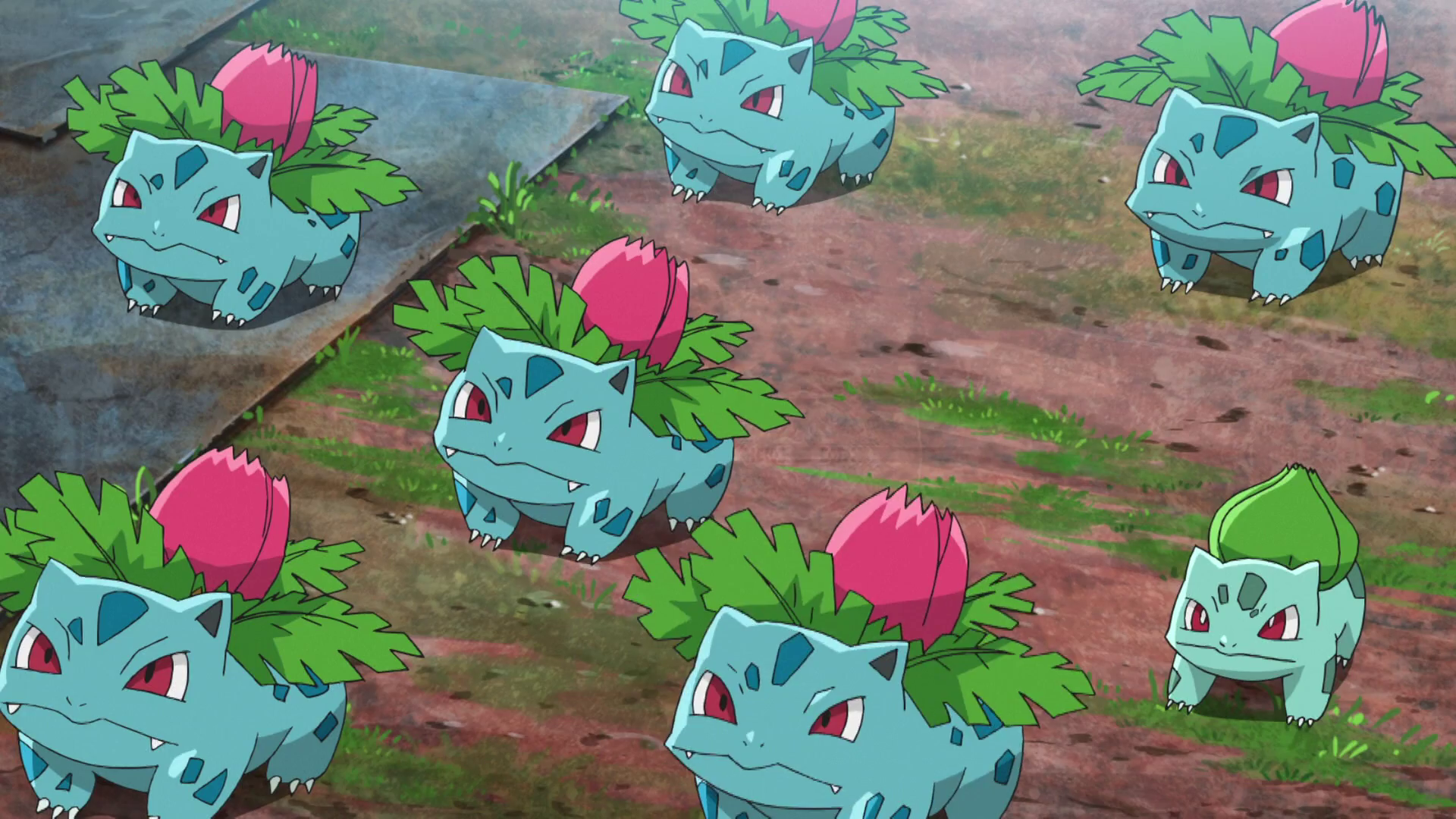 ◓ Anime Pokémon Journeys (Pokémon Jornadas) • Episódio 03: Ivysaur, não é  misterioso?