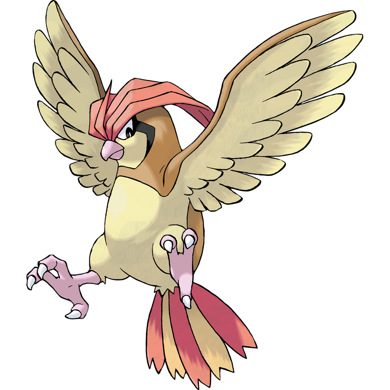 It evolves from Pidgey starting at level 18 and evolves into Pidgeot starti...