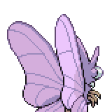 Venomoth - Pokémon Planta Raro - 2/119 - Xy Força Fantasma!