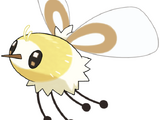 Cutiefly