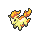 Click to see all images of Ponyta