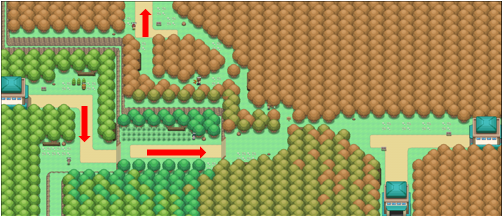 Johto Route 36 - Bulbapedia, the community-driven Pokémon encyclopedia