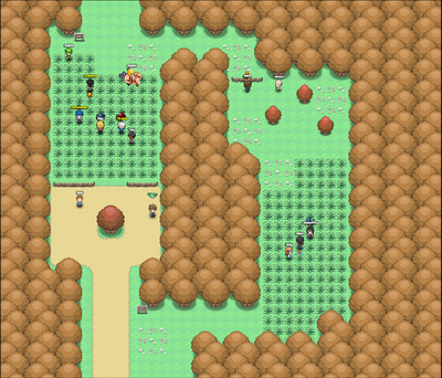 Route 37.png