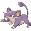 Rattata