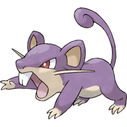 Pokemon Rattata