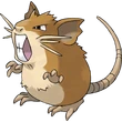 Raticate
