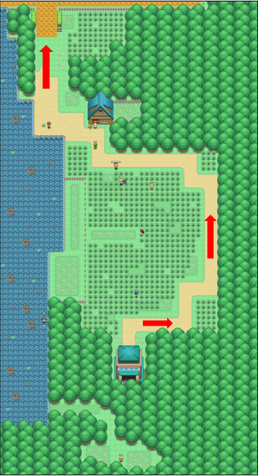 Pokéarth - Johto - Route 34