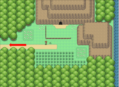 Route 33, Pokémon Wiki