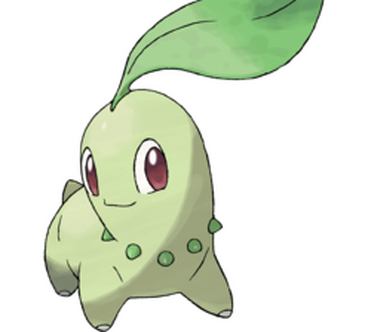 Plant store type pokemon