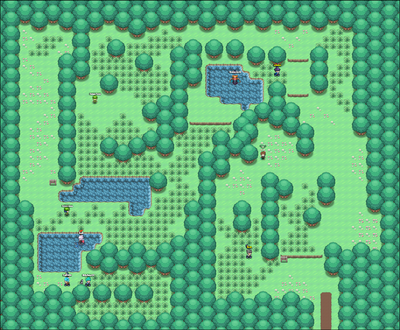 Berry forest.png