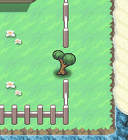 a cuttable tree between two lengths of fence on a grassy shore