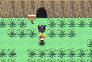 Route 11.png
