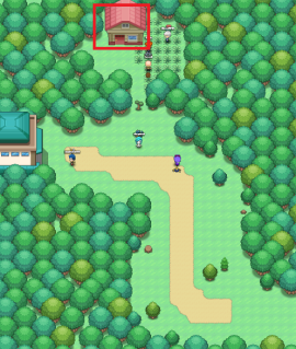 A house outlined at the top of a grassy route 16.